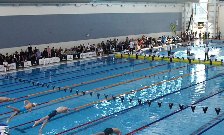 Racers diving into a swimming pool