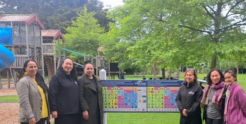 Lorna Irene Reserve Playground case study group