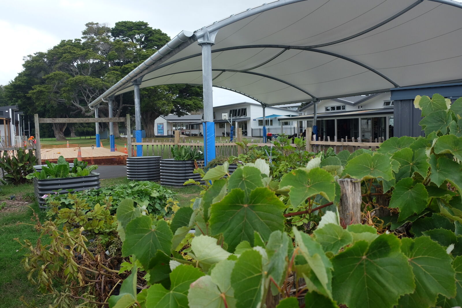 DE7661A7 1F46 46DA 84AE 9BB0ED2D2DF1 2252 000000D7F66BAEB8 Medium