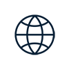 Globe icon