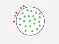 Exclusion infographic